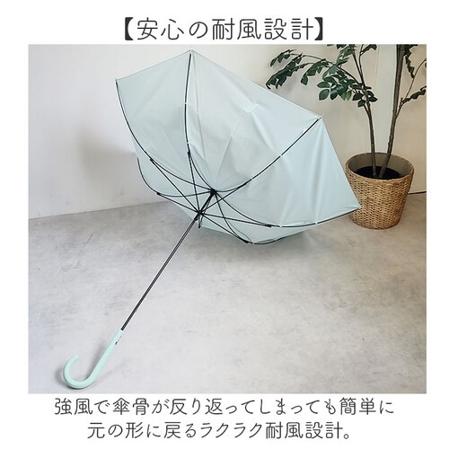 ���P ���f�B�[�X �y�� �ʔ� �P ���y�� ������ �ϕ��P �J�P ��J�� 60cm �ϕ� ���� ���� �J�T ��v �O���X�t�@�C�o�[ �ʋ� �ʊw ���� ��l ���Z�� �V���v�� ���n LIGHT as AI_6