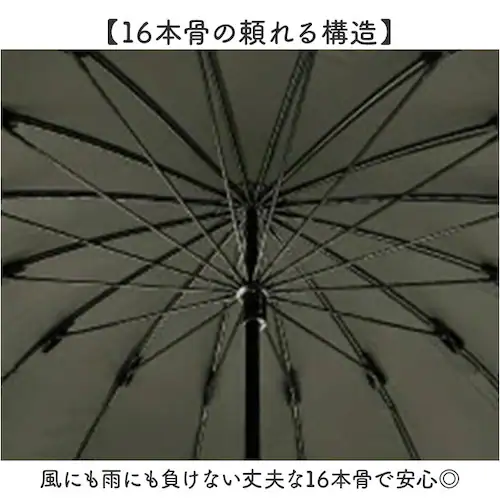 ���P ���J���p �ʔ� pink trick �s���N�g���b�N ���P 16�{���P �傫�� ��v ���ɋ��� �V���v�� �y�� �y�� ������� ���킢�� �ʋ� �ʊw �����V���G�b�g �����^�� �l�C���K�[�h�t��_2