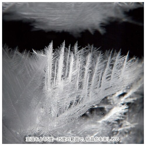 ���x�v���X�g�[���O���X �ʔ� �C�یv �V�C�\�� ���x�v �V�C�� �K�����I���x�v �K�����I �K�����I�T�[�����[�^�[ �k�� �T�C�G���X �Ȋw �C���e���A �K���X ������� Science ������_10