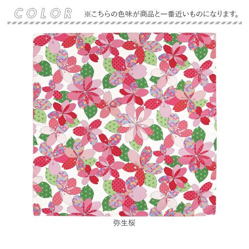 ���C�~ �ʔ� ���C�~�� ���C�~��� �G�R�o�b�O �G�R�o�b�N �|���G�X�e�� �͂��� ���� �R���p�N�g �����^�� �� ������ ���͂��� ������� ���킢�� ���s_9