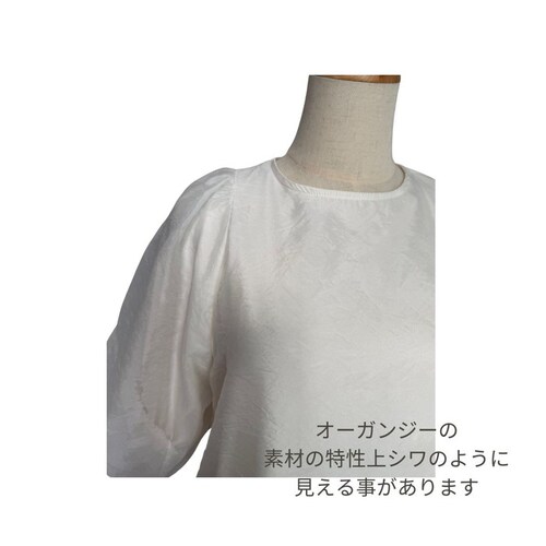 �u���E�X �I�[�K���W�[ ���f�B�[�X �ʔ� �V���c ���f�B�[�X�V���c ���f�B�[�X�u���E�X ������� �{�����[���X���[�u �{�����[�� �� ���� ������ ���C���[�h�� ��i �g�b�v�X ���ꂢ�� ��l ���킢_11