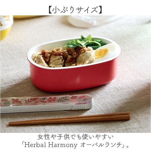 �ٓ��� ���q ��l ��i �ʔ� ���{�� ���ٓ��� 1�i �����`�{�b�N�X 500ml ������ ���� �q�� �L�b�Y �q�ǂ� ���ǂ� �W�ȊO �d�q�����W�Ή� �{�̂̂ݐH��@�Ή� ������� ���킢�� ���Z�� _1