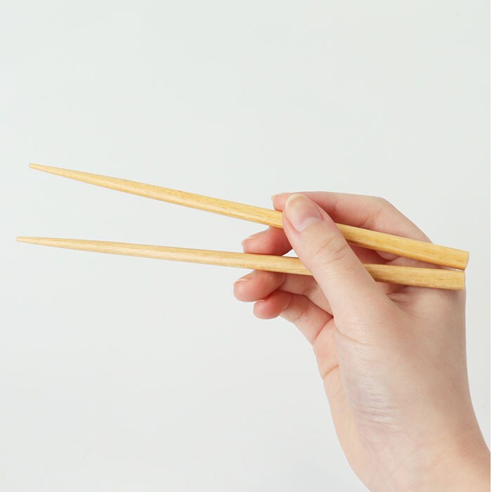 やさしい彩り/あかね色 箸箱セット 通販 日本製 抗菌 箸箱 セット 大人