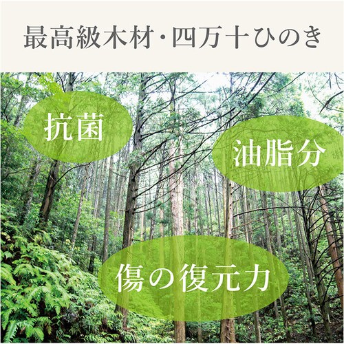 ���܂Ȕ� �Ђ̂� �ʔ� ���{�� �܂Ȃ��� �J�b�e�B���O�{�[�h �X�^���h �ؐ� ������� �R�� ���^ �y�� �y�� �l���\�Ђ̂� �� �ה� �^���� �w �q�m�L SJ000010 STYLE JAPAN _10