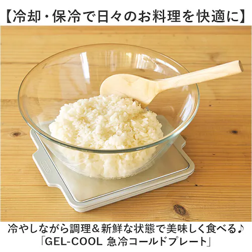 GEL-COOL �W�F���N�[�� �v���[�g �ۗ� �ʔ� ����M��� �X�e�����X�v���[�g ����M���v���[�g �ۗ�v���[�g �X�e�����X �̂��邾�� ������ �~�j 2way ���ٓ���� ����M �e�M ���Z _1