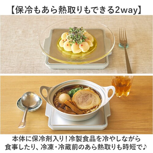 GEL-COOL �W�F���N�[�� �v���[�g �ۗ� �ʔ� ����M��� �X�e�����X�v���[�g ����M���v���[�g �ۗ�v���[�g �X�e�����X �̂��邾�� ������ �~�j 2way ���ٓ���� ����M �e�M ���Z _2