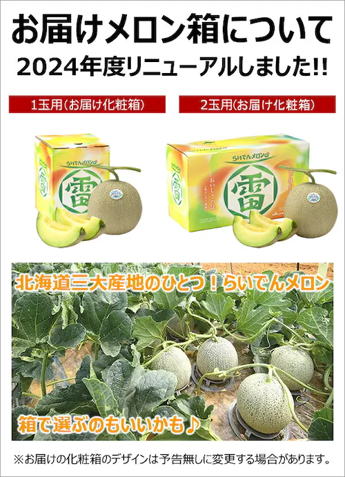 【出荷中】北海道産 らいでんメロン 2玉セット (赤肉&青肉/共撰/秀品/1玉 1.6kg/常温便) メロン 赤肉メロン 青肉メロン 詰め合わせ お中元 贈り物 ご家庭用 果物 フルーツ 北海道 共和_11