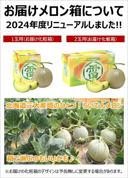 【出荷中】北海道産 らいでんメロン 1玉 (赤肉/共撰/秀品/1玉 2.0kg/常温便) ギフト 贈り物 残暑見舞い お供え 果物 フルーツ お取り寄せ_11