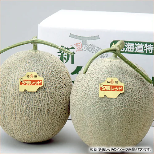 �y�o�ג��z�k�C�� �V�[�����b�h 2�ʓ��� (1�� 1.5kg/R113�n/�퉷��) ������ �ԓ������� �ăM�t�g ���������� �c�������� �M�t�g ���蕨 ���ƒ�p �ʕ� �t���[�c �k�C�� ������_7