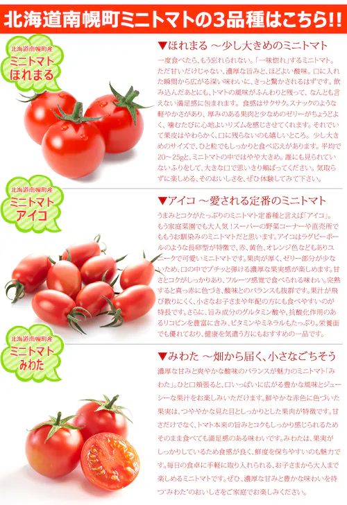 【出荷中】北海道 南幌町産 ミニトマト 3種 詰め合わせ 1kg (おまかせ/冷蔵便) 南幌町明るい農村ネットワーク 野菜 お取り寄せ_11