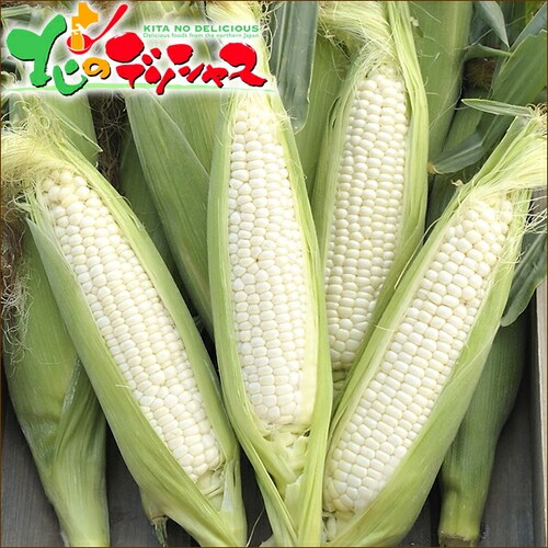 【予約順に順次出荷中】とうもろこし ピュアホワイトSP 6本 (冷蔵便) 北海道産 南幌町明るい農村ネットワーク 北海道 グルメ お取り寄せ_1