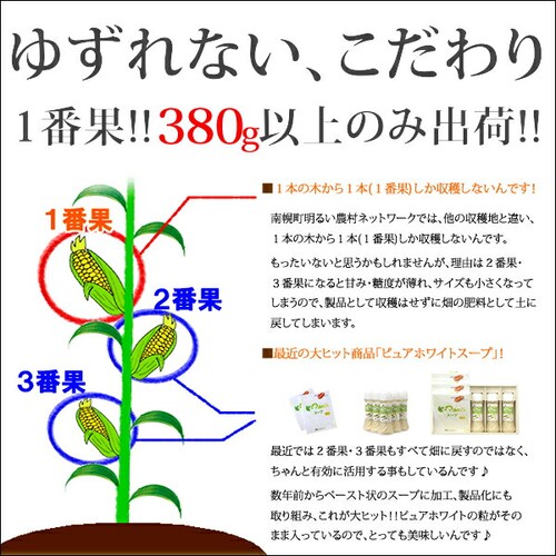 【予約順に順次出荷中】とうもろこし ピュアホワイトSP 6本 (冷蔵便) 北海道産 南幌町明るい農村ネットワーク 北海道 グルメ お取り寄せ_9