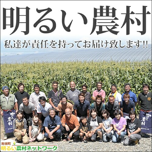 【予約順に順次出荷中】とうもろこし ピュアホワイトSP 6本 (冷蔵便) 北海道産 南幌町明るい農村ネットワーク 北海道 グルメ お取り寄せ_10