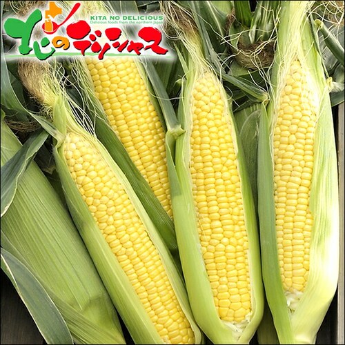 【予約順に順次出荷中】とうもろこし あまいんです 6本 (黄/冷蔵便) 北海道産 南幌町明るい農村ネットワーク 北海道 グルメ お取り寄せ_1