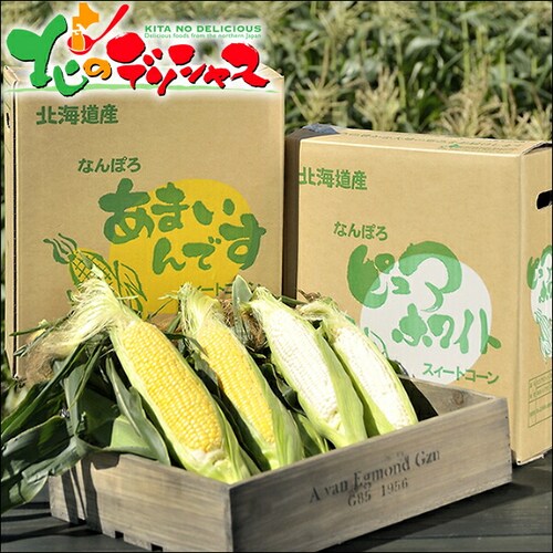 【予約順に順次出荷中】とうもろこし あまいんです 6本 (黄/冷蔵便) 北海道産 南幌町明るい農村ネットワーク 北海道 グルメ お取り寄せ_3