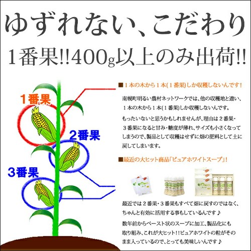 【予約順に順次出荷中】とうもろこし あまいんです 6本 (黄/冷蔵便) 北海道産 南幌町明るい農村ネットワーク 北海道 グルメ お取り寄せ_9