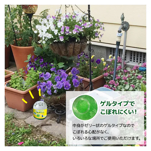 �u���^�C�v ����Ȃ�J������� �u���^�C�v �ʔ� ������ �u������ �������� �������Ȃ� ���𑗂肾�� �~���g�̗� �~���g �J�����V �~���g�n�b�J�I�C�� �J�����V���񂹕t���Ȃ� �J�����V���������� _3