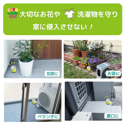 �u���^�C�v ����Ȃ�J������� �u���^�C�v �ʔ� ������ �u������ �������� �������Ȃ� ���𑗂肾�� �~���g�̗� �~���g �J�����V �~���g�n�b�J�I�C�� �J�����V���񂹕t���Ȃ� �J�����V���������� _4