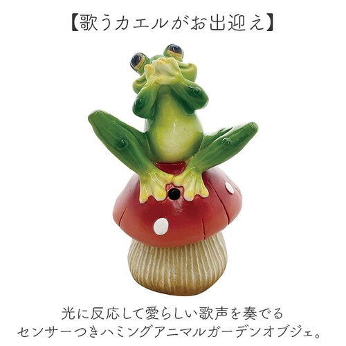 �u�� �Z���T�[ �ʔ� �K�[�f���I�[�i�����g �I�u�W�F �J�G���̉̐� �I�[�i�����g ���֐� �� �n�~���O�A�j�}�� ���Z���T�[ �t���b�O �J�G�� ������ �^ ���� �h�� �ۘa�f�� �C���e���A �M�t�g ����_1