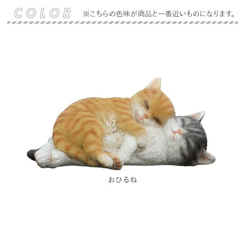 おひるね ベニーズ キャット 通販 Benny