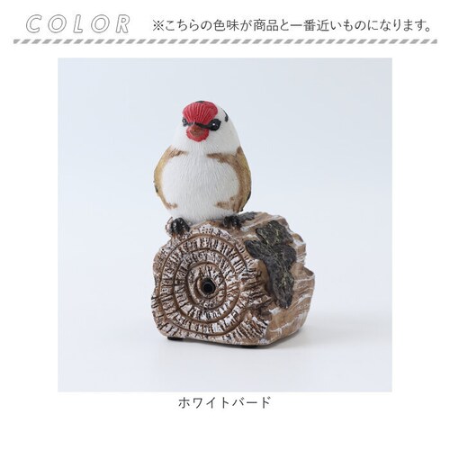 �u�� �Z���T�[ �ʔ� �K�[�f���I�[�i�����g �I�u�W�F �����̂������� �I�[�i�����g ���֐� �� �n�~���O�A�j�}�� ���Z���T�[ ���� ���̂������� ���� �h�� �ۘa�f�� �C���e���A �M�t�g ���蕨 ��_7