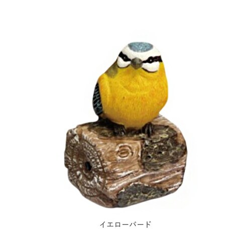 �u�� �Z���T�[ �ʔ� �K�[�f���I�[�i�����g �I�u�W�F �����̂������� �I�[�i�����g ���֐� �� �n�~���O�A�j�}�� ���Z���T�[ ���� ���̂������� ���� �h�� �ۘa�f�� �C���e���A �M�t�g ���蕨 ��_8