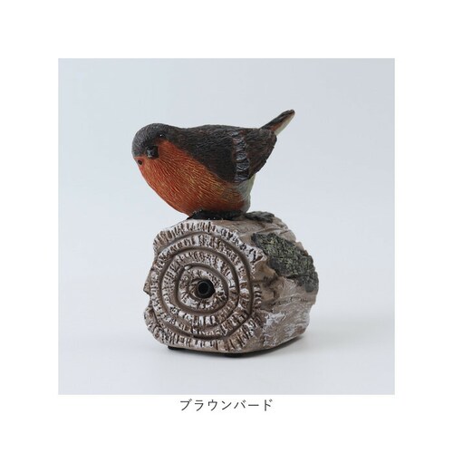 �u�� �Z���T�[ �ʔ� �K�[�f���I�[�i�����g �I�u�W�F �����̂������� �I�[�i�����g ���֐� �� �n�~���O�A�j�}�� ���Z���T�[ ���� ���̂������� ���� �h�� �ۘa�f�� �C���e���A �M�t�g ���蕨 ��_9