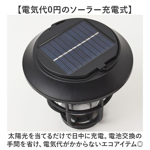 �K�[�f�����C�g ���O �\�[���[ �ʔ� �\�[���[���C�g ���C�g �Ɩ� �� �����^�� �ǎ��t�� �x�� �K�[�f�j���O ������� ���킢�� 3way �G�N�X�e���A ���邢 ���� �d���F �C���~�l�[�V���� �Z_2