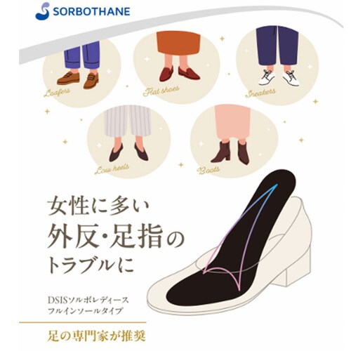 DSIS �\���{ �t���C���\�[�� ���f�B�[�X �ʔ� �C���\�[�� �t���C���\�[���^�C�v ���~�� ���~ ������ �N�b�V������ �N�b�V���� DSIS�C���\�[�� ����� �����p ���� ���K ���S�y�� �Ռ��z��_2