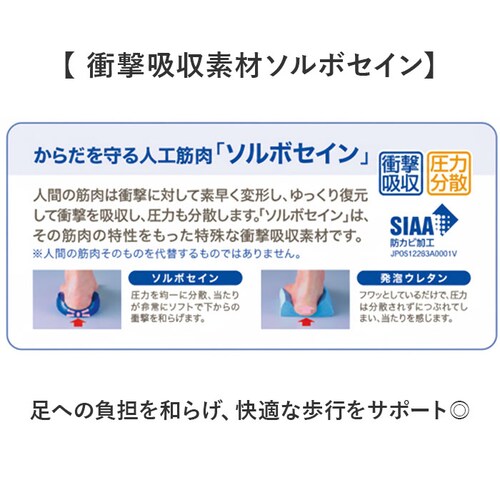 DSIS �\���{ �t���C���\�[�� ���f�B�[�X �ʔ� �C���\�[�� �t���C���\�[���^�C�v ���~�� ���~ ������ �N�b�V������ �N�b�V���� DSIS�C���\�[�� ����� �����p ���� ���K ���S�y�� �Ռ��z��_4