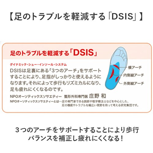 DSIS �\���{ �t���C���\�[�� ���f�B�[�X �ʔ� �C���\�[�� �t���C���\�[���^�C�v ���~�� ���~ ������ �N�b�V������ �N�b�V���� DSIS�C���\�[�� ����� �����p ���� ���K ���S�y�� �Ռ��z��_5