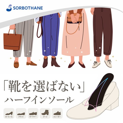 dsis �\���{ �C���\�[�� �n�[�t ���f�B�[�X �ʔ� �n�[�t�C���\�[�� �n�[�t�^�C�v �C ���� �V���[�Y �Ռ��z�� �Ռ��z���f�� ���� �y�� �y�� �ʋC�� ������ �C��I�΂Ȃ� �����p ���� ���K _1