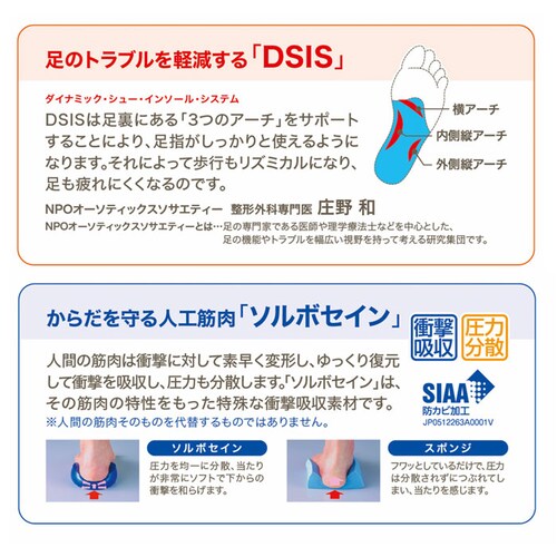 dsis �\���{ �C���\�[�� �n�[�t ���f�B�[�X �ʔ� �n�[�t�C���\�[�� �n�[�t�^�C�v �C ���� �V���[�Y �Ռ��z�� �Ռ��z���f�� ���� �y�� �y�� �ʋC�� ������ �C��I�΂Ȃ� �����p ���� ���K _8