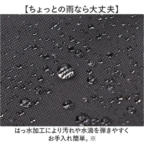 Lafiel �o�b�O ���t�B�[�� 2400-1 �ʔ� �����b�N �����b�N�T�b�N �o�b�N�p�b�N �f�C�p�b�N ���f�B�[�X A4 �ʋ� �ʊw �r�W�l�X �i�C���� �y�� �y�� �����Y ���s ���ꂢ�� �������_9