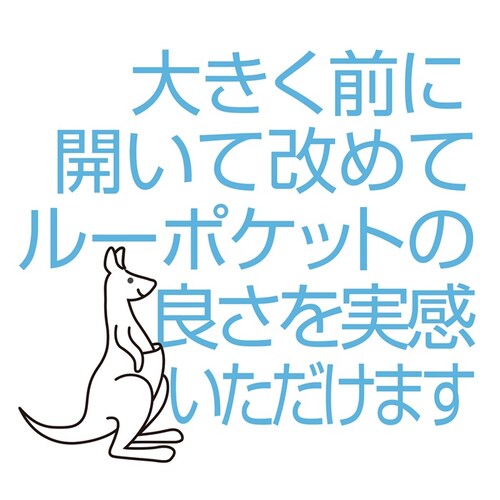 Dustyblue ROOTOTE ルートート トートバッグ 3669 通販 トートバック 肩掛けバッグ 通勤バッグ ビジネスバッグ ファスナー付き ナイロン A4 大容量 レディース 通勤 通学 軽_9
