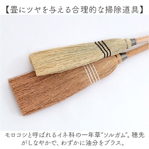 ナチュラル 座敷 ほうき 屋内 通販 ソルガムホウキ スローピングショルダー S 箒 ホウキ 19×70cm 座敷ほうき 室内 掃除用具 掃除用品 使い やすい 掃除道具 短い 柄 短柄 ナチュラル _3