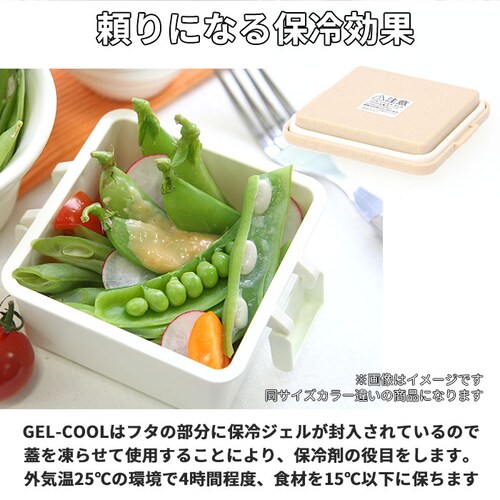 1�i �ٓ��� 220ml �ۗ� �ʔ� ���ٓ��� �����`�{�b�N�X ��i �P�i GEL-COOL �W�F���N�[�� square �X�N�G�A S 220 �W�F���[�g plain �v���[�� ���ٓ� �����` �t���[_3