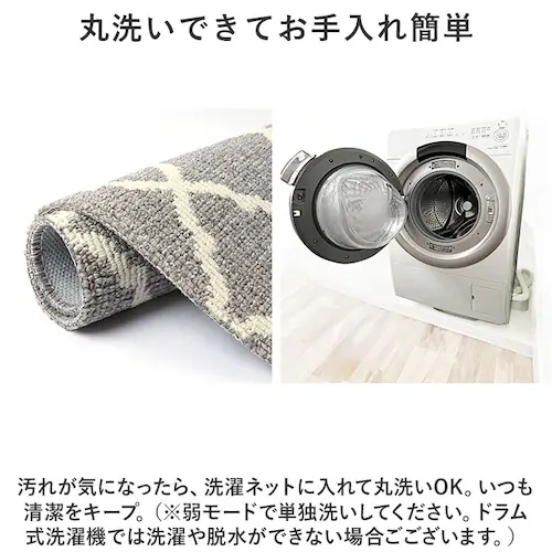 玄関マット 室内 おしゃれ 通販 マスタースペースラグ 約 50cm×75cm センコー ラグマット マット ラグ モダン 洗える 薄手 屋内用 かわいい 滑り止め加工 床暖房対応 キッチン 台所 ベ_5