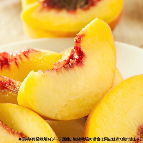 【予約】山形県産 ご家庭用 黄桃 2kg (有袋栽培/6玉〜9玉入り/クール冷蔵) もも モモ 桃 訳あり ご自宅用【代引き不可】_2