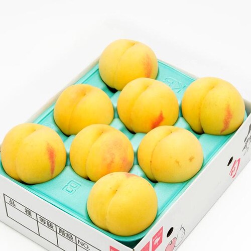 【予約】山形県産 ご家庭用 黄桃 2kg (有袋栽培/6玉〜9玉入り/クール冷蔵) もも モモ 桃 訳あり ご自宅用【代引き不可】_4