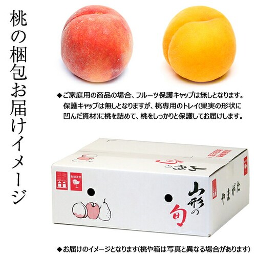 【予約】山形県産 ご家庭用 黄桃 2kg (有袋栽培/6玉〜9玉入り/クール冷蔵) もも モモ 桃 訳あり ご自宅用【代引き不可】_6