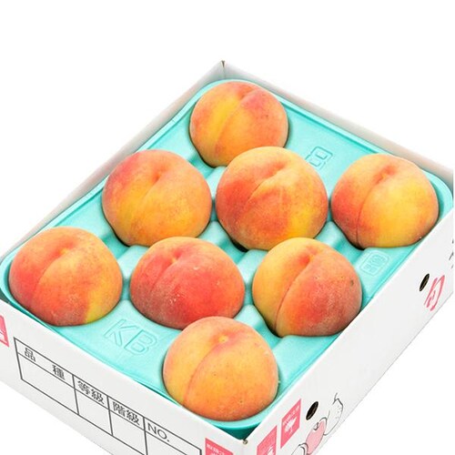 【予約】山形県産 ご家庭用 黄桃 2kg (有袋栽培/6玉〜9玉入り/クール冷蔵) もも モモ 桃 訳あり ご自宅用【代引き不可】_11