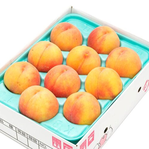 【予約】山形県産 ご家庭用 黄桃 2kg (有袋栽培/6玉〜9玉入り/クール冷蔵) もも モモ 桃 訳あり ご自宅用【代引き不可】_12