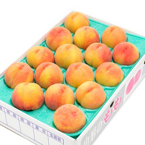 【予約】山形県産 ご家庭用 黄桃 2kg (有袋栽培/6玉〜9玉入り/クール冷蔵) もも モモ 桃 訳あり ご自宅用【代引き不可】_13