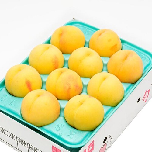 【予約】山形県産 ご家庭用 黄桃 2kg (有袋栽培/6玉〜9玉入り/クール冷蔵) もも モモ 桃 訳あり ご自宅用【代引き不可】_14