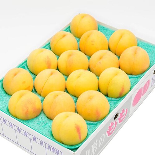 【予約】山形県産 ご家庭用 黄桃 2kg (有袋栽培/6玉〜9玉入り/クール冷蔵) もも モモ 桃 訳あり ご自宅用【代引き不可】_15