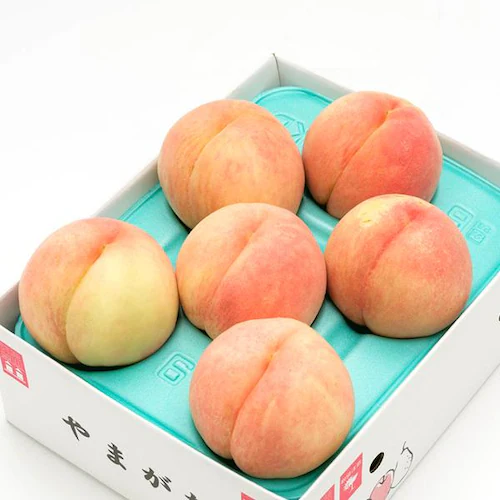【予約】山形県産 ご家庭用 白桃 2kg (柔らかめ/6玉〜9玉入り/クール冷蔵) 桃 訳あり ご家庭用 お取り寄せ_5