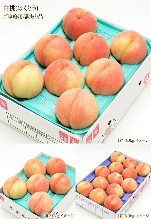 【予約】山形県産 ご家庭用 白桃 2kg (柔らかめ/6玉〜9玉入り/クール冷蔵) 桃 訳あり ご家庭用 お取り寄せ_6