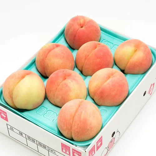 【予約】山形県産 ご家庭用 白桃 2kg (柔らかめ/6玉〜9玉入り/クール冷蔵) 桃 訳あり ご家庭用 お取り寄せ_13