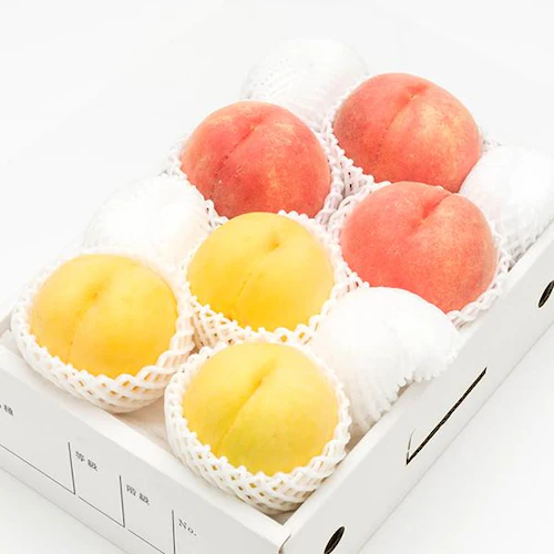 【出荷中】山形県産 白桃・黄桃 詰め合わせ 2kg (秀品/5玉〜8玉入り/クール冷蔵) もも 桃 残暑見舞い ギフト 贈り物 山形 果物 フルーツ お取り寄せ_5